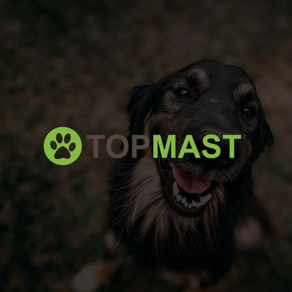 Merkloos Topmast Premium Puppyren - 120 Cm Hoog - 640 Cm Omtrek - Hondenren - Hondenhok - Zwart 4 Merkloos Topmast Premium Puppyren - 120 Cm Hoog - 640 Cm Omtrek - Hondenren - Hondenhok - Zwart - Afbeelding 4