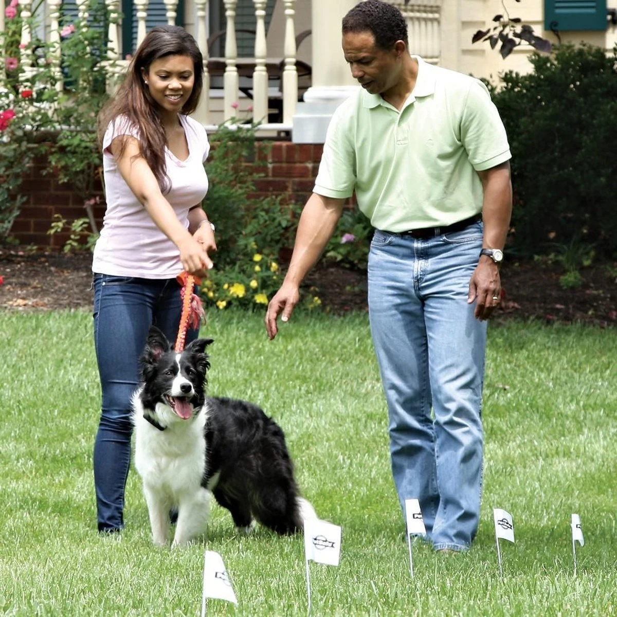 Petsafe Smartfence Omheiningsysteem - Draad Met Vlaggetjes - 150 M 2 Petsafe Smartfence Omheiningsysteem - Draad Met Vlaggetjes - 150 M - Afbeelding 2