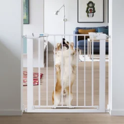 Nobleza 47B4V - Hondenhek - Metaal - H76 X L75-82 Cm - Wit