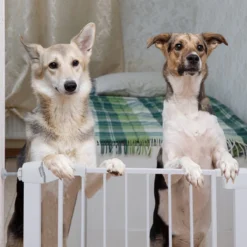 Nobleza 47B4V - Hondenhek - Metaal - H76 X L75-82 Cm - Wit -Dog Supplies 1200x1200 1010