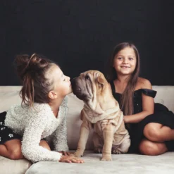 Relaxdays Puppyren - Hondenren - Puppykennel - Konijnenren - Bodem - Metaal - Div. Grootte - M -Dog Supplies 1200x1200 1072