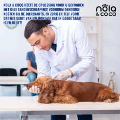 Nola & Coco® Tandsteen Verwijderaar Set Inclusief Bewaardoosje - Tandenkrabber - Set Van Twee - Hond - Kat - Tandenborstel - Tandplak Verwijderen - Tandenstoker - Honden Tanden Schoonmaken - Tandenhaakje - Gebitsreiniging -Dog Supplies 1200x1200 1094