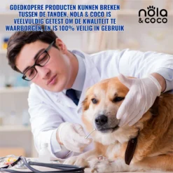 Nola & Coco® Tandsteen Verwijderaar Set Inclusief Bewaardoosje - Tandenkrabber - Set Van Twee - Hond - Kat - Tandenborstel - Tandplak Verwijderen - Tandenstoker - Honden Tanden Schoonmaken - Tandenhaakje - Gebitsreiniging -Dog Supplies 1200x1200 1095