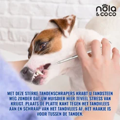 Nola & Coco® Tandsteen Verwijderaar Set Inclusief Bewaardoosje - Tandenkrabber - Set Van Twee - Hond - Kat - Tandenborstel - Tandplak Verwijderen - Tandenstoker - Honden Tanden Schoonmaken - Tandenhaakje - Gebitsreiniging -Dog Supplies 1200x1200 1097