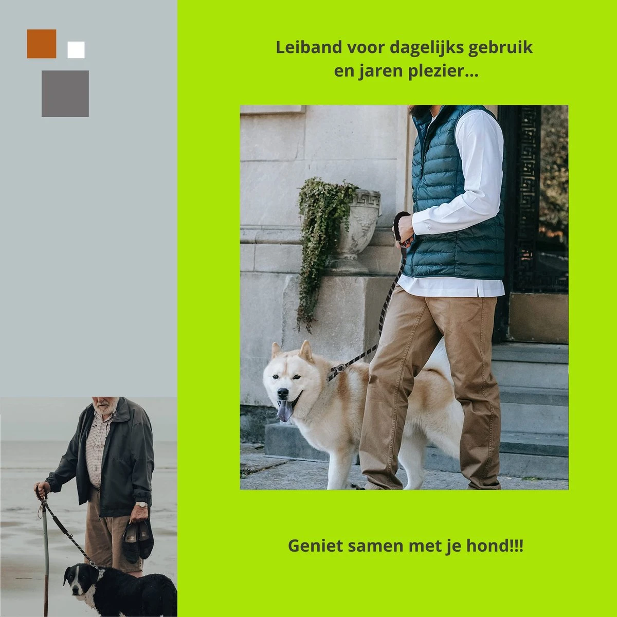 1FORME Hondenriem 15-25kg - Sliplijn Hond REFLECTEREND 2m, 1cm Ø - Jachtlijn 2 Ergonomische Handvaten - Dubbel Stop 4 1FORME Hondenriem 15-25kg - Sliplijn Hond REFLECTEREND 2m, 1cm Ø - Jachtlijn 2 Ergonomische Handvaten - Dubbel Stop - Afbeelding 4