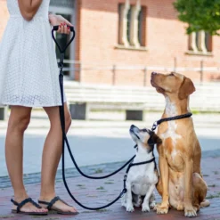 Rebel Petz - Dubbele Verstelbare Hondenriem Voor Twee Honden - Met Draaibare Sluiting En Zacht Handvat - Small En Large - Large (140 Cm Lang, Ø 12 Mm) -Dog Supplies 1200x1200 1135