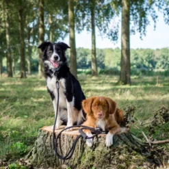 Rebel Petz - Dubbele Verstelbare Hondenriem Voor Twee Honden - Met Draaibare Sluiting En Zacht Handvat - Small En Large - Large (140 Cm Lang, Ø 12 Mm) -Dog Supplies 1200x1200 1136