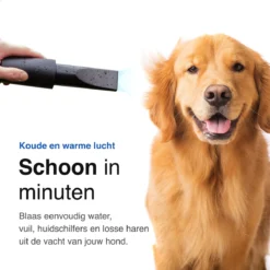 Vivid Green Waterblazer Met 3 Opzetstukken - Hondenfohn - Voor Honden - Met Geluiddemper - 2800W -Dog Supplies 1200x1200 13