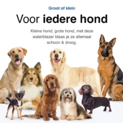 Vivid Green Waterblazer Met 3 Opzetstukken - Hondenfohn - Voor Honden - Met Geluiddemper - 2800W -Dog Supplies 1200x1200 17