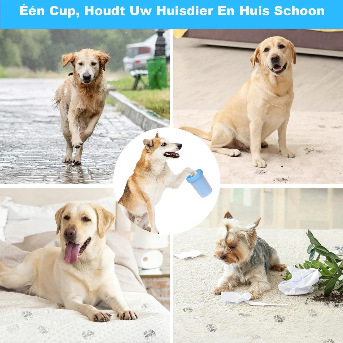 Merkloos Hondenpoot Reiniger - Hondenborstel - Borstel Hond / Kat - Hondenpoten Reiniger - Huisdier Poot Wassen - Borstel - Hondenverzorging - Verzorging Hond - Honden Wassen - Schoonmaak Borstel - Kattenborstel 3 Merkloos Hondenpoot Reiniger - Hondenborstel - Borstel Hond / Kat - Hondenpoten Reiniger - Huisdier Poot Wassen - Borstel - Hondenverzorging - Verzorging Hond - Honden Wassen - Schoonmaak Borstel - Kattenborstel - Afbeelding 3
