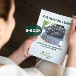 De Blaffende Kat Wasdrogerbollen - Droger Ballen - Huisdier Haarverwijderaar - 4 Wasbollen Voor Wasmachine En Droger -Dog Supplies 1200x1200 179