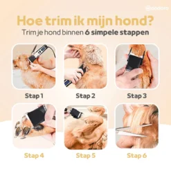 Woodoro Professionele 2-in-1 Hondentondeuse Voor Dikke Vacht – Draadloze Honden Tondeuse & Hondentrimmer – Stille Tondeuse Katten & Honden Trimset -Dog Supplies 1200x1200 244