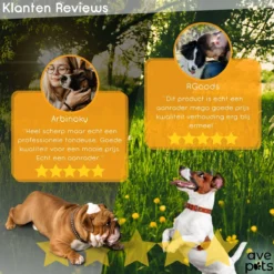 AVE Pets® Complete Hondentondeuse Set - Draadloos Tondeuse - Scheerapparaat Voor Je Hond Of Kat - Huisdier Trimmer - Professionele Dierentondeuse - Dieren Verzorging -Dog Supplies 1200x1200 274