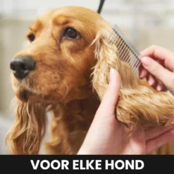 Hondentondeuse - Honden & Katten - Trimmer - Geluidsloos 10 Hondentondeuse - Honden & Katten - Trimmer - Geluidsloos -Dog Supplies 1200x1200 322