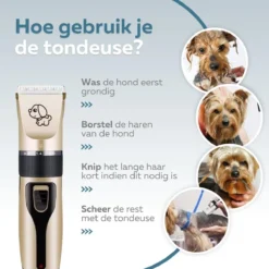 BYER Professionele Dieren Tondeuse Set - Voor Huisdieren Katten & Honden - Draadloos - Oplaadbare Pet Trimmer - Dog Tondeuze Clipper - 5 Standen & Vier Opzetkammen - Low Noise -Dog Supplies 1200x1200 326