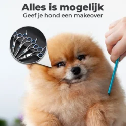 VoordeelShop 7-Delige Huisdier Knipset Met Etui - Trimmen Hond - Honden Schaar - Effileerschaar Hond - Huisdier Trimmer - Huisdier Knippen - Knipschaar Haar - Haar Schaar - Kapper - Kapperset - Scharenset -Dog Supplies 1200x1200 330