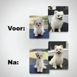 VoordeelShop 7-Delige Huisdier Knipset Met Etui - Trimmen Hond - Honden Schaar - Effileerschaar Hond - Huisdier Trimmer - Huisdier Knippen - Knipschaar Haar - Haar Schaar - Kapper - Kapperset - Scharenset -Dog Supplies 1200x1200 335