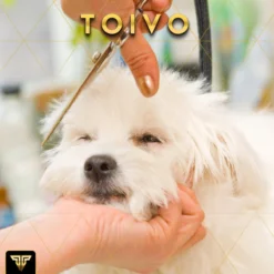 Toivo Schaar Voor Dieren - Zilver - Effileerscharen - Honden Scharenset - Dierenschaar - Set 5 Stuks - Trimscharen - Trimset - Uitdunschaar Hond - Schaar Honden -Dog Supplies 1200x1200 344