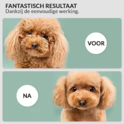 Krachtige Hondenföhn/ Waterblazer Met Draaiknop Om Overtollig Water En Stof Snel Uit De Vacht Te Blazen | Verstelbare Vermogen Standen (500W Tot 2200W) En Verstelbare Temperatuur - Type B Oranje -Dog Supplies 1200x1200 355