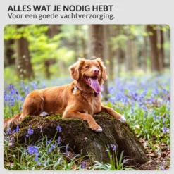 Krachtige Hondenföhn/ Waterblazer Met Draaiknop Om Overtollig Water En Stof Snel Uit De Vacht Te Blazen | Verstelbare Vermogen Standen (500W Tot 2200W) En Verstelbare Temperatuur - Type B Oranje -Dog Supplies 1200x1200 356