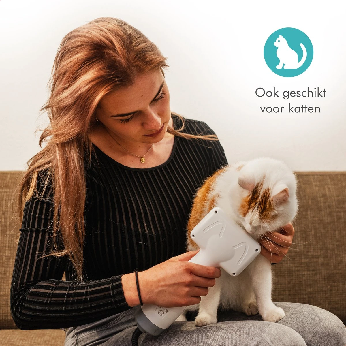 BURCH PetCare Ace - Waterblazer Voor Honden - Handzame Hondenföhn - RVS Borstel - 500W 8 BURCH PetCare Ace - Waterblazer Voor Honden - Handzame Hondenföhn - RVS Borstel - 500W - Afbeelding 8