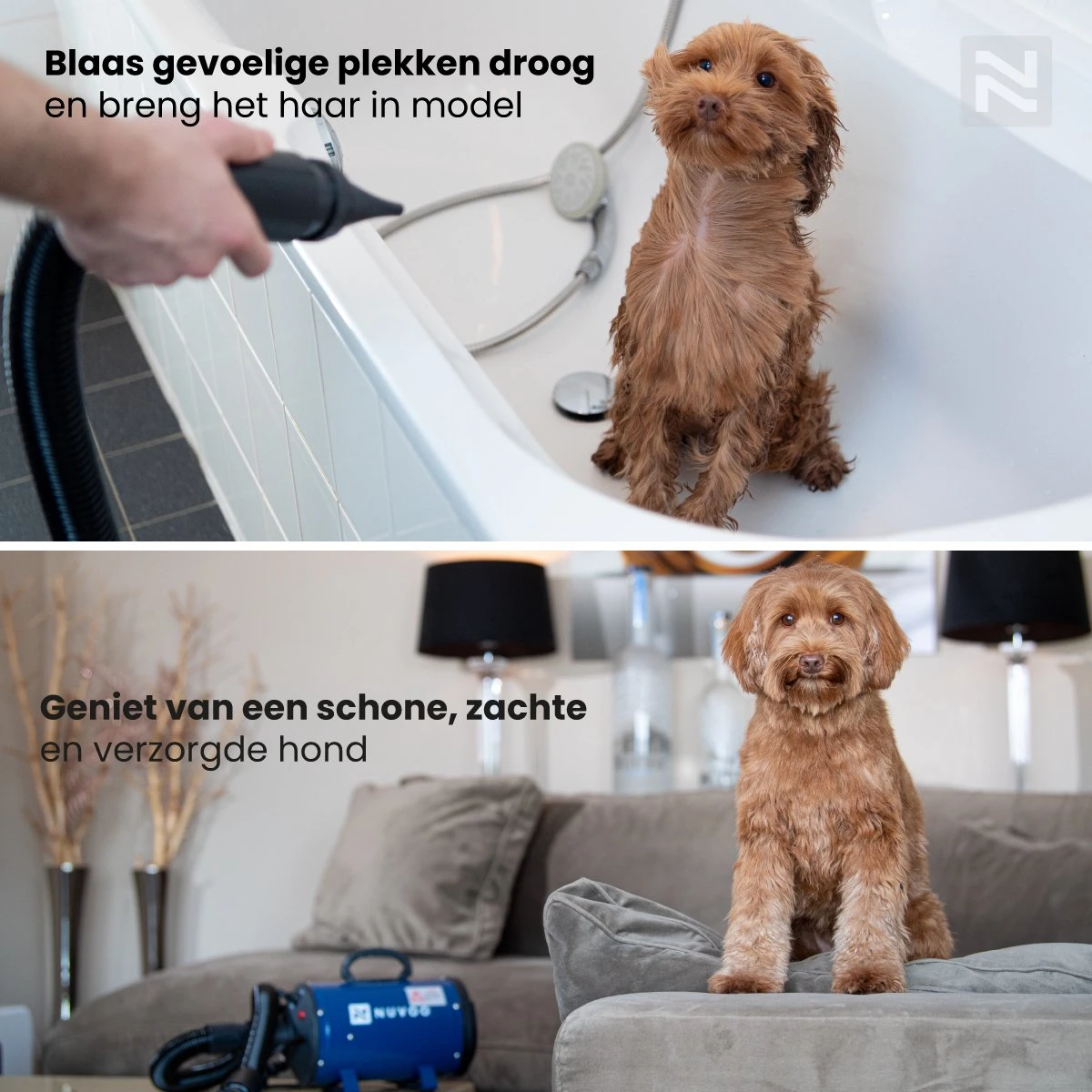 Nuvoo Professionele Hondenföhn / Waterblazer / Hondenborstel Met 3 Opzetstukken - Verstelbare Vermogen Tot 2200W - Warme / Koude Stand - Blauw 5 Nuvoo Professionele Hondenföhn / Waterblazer / Hondenborstel Met 3 Opzetstukken - Verstelbare Vermogen Tot 2200W - Warme / Koude Stand - Blauw - Afbeelding 5