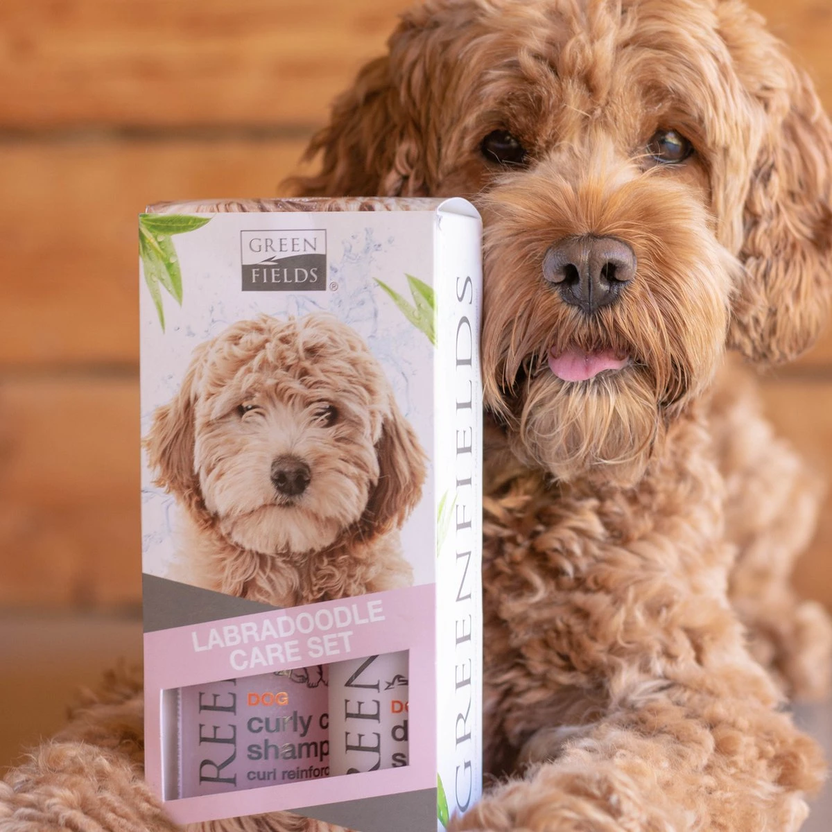 Greenfields Labradoodle Vacht Verzorgingsset - Shampoo En Anti-Klit Spray Voor Langharige Of Krullende Vacht 3 Greenfields Labradoodle Vacht Verzorgingsset - Shampoo En Anti-Klit Spray Voor Langharige Of Krullende Vacht - Afbeelding 3
