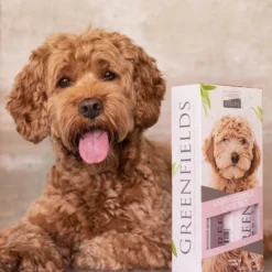 Greenfields Labradoodle Vacht Verzorgingsset - Shampoo En Anti-Klit Spray Voor Langharige Of Krullende Vacht 15 Greenfields Labradoodle Vacht Verzorgingsset - Shampoo En Anti-Klit Spray Voor Langharige Of Krullende Vacht -Dog Supplies 1200x1200 402