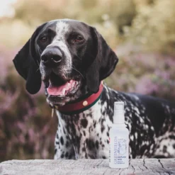 Hondenparfum Spray In 4 Geuren - Greenfields - Alchoholvrije En PH Neutrale Formule Tegen Onaangename Geurtjes - 50ml - Exotic -Dog Supplies 1200x1200 418