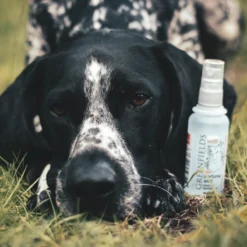 Hondenparfum Spray In 4 Geuren - Greenfields - Alchoholvrije En PH Neutrale Formule Tegen Onaangename Geurtjes - 50ml - Wild 28 Hondenparfum Spray In 4 Geuren - Greenfields - Alchoholvrije En PH Neutrale Formule Tegen Onaangename Geurtjes - 50ml - Wild -Dog Supplies 1200x1200 426