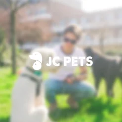 Anti Blafband - Blafband Voor Honden - Oplaadbaar - Anti Blaf Apparaat - Blafband - Diervriendelijk 15 Anti Blafband - Blafband Voor Honden - Oplaadbaar - Anti Blaf Apparaat - Blafband - Diervriendelijk -Dog Supplies 1200x1200 450