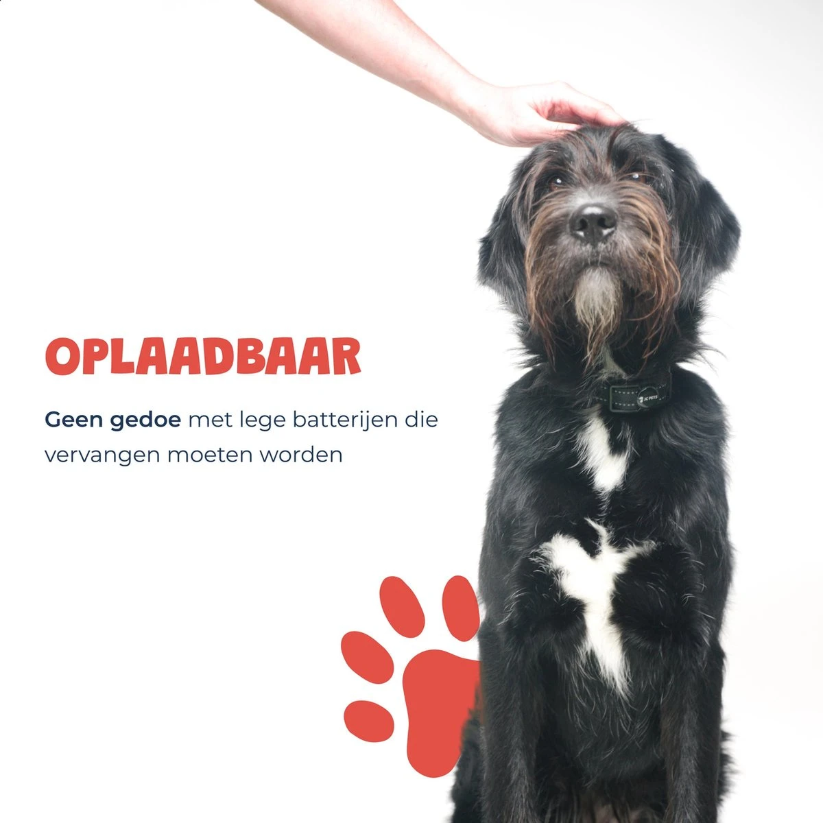 Anti Blafband - Blafband Voor Honden - Oplaadbaar - Anti Blaf Apparaat - Blafband - Diervriendelijk 5 Anti Blafband - Blafband Voor Honden - Oplaadbaar - Anti Blaf Apparaat - Blafband - Diervriendelijk - Afbeelding 5