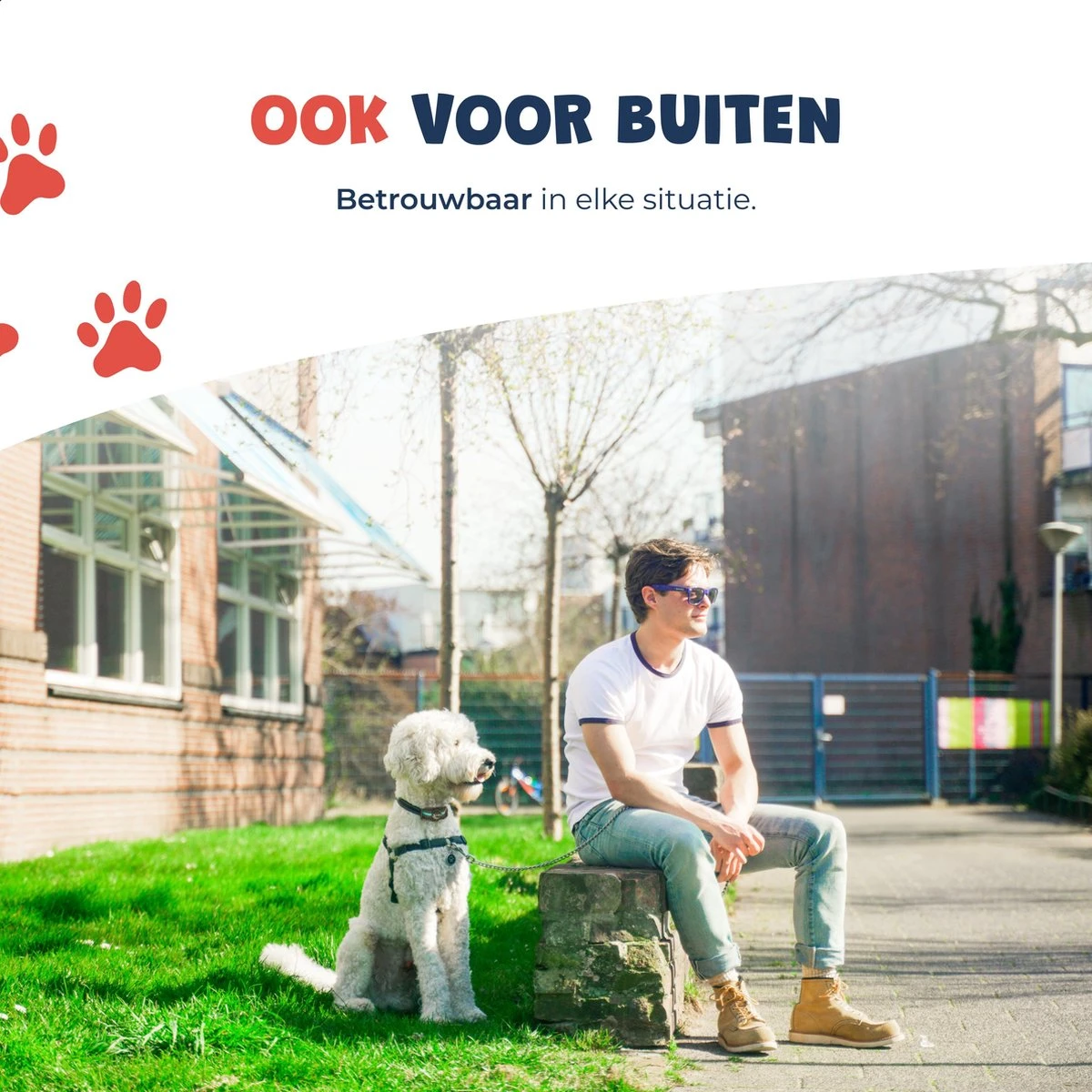 Anti Blafband - Blafband Voor Honden - Oplaadbaar - Anti Blaf Apparaat - Blafband - Diervriendelijk 6 Anti Blafband - Blafband Voor Honden - Oplaadbaar - Anti Blaf Apparaat - Blafband - Diervriendelijk - Afbeelding 6