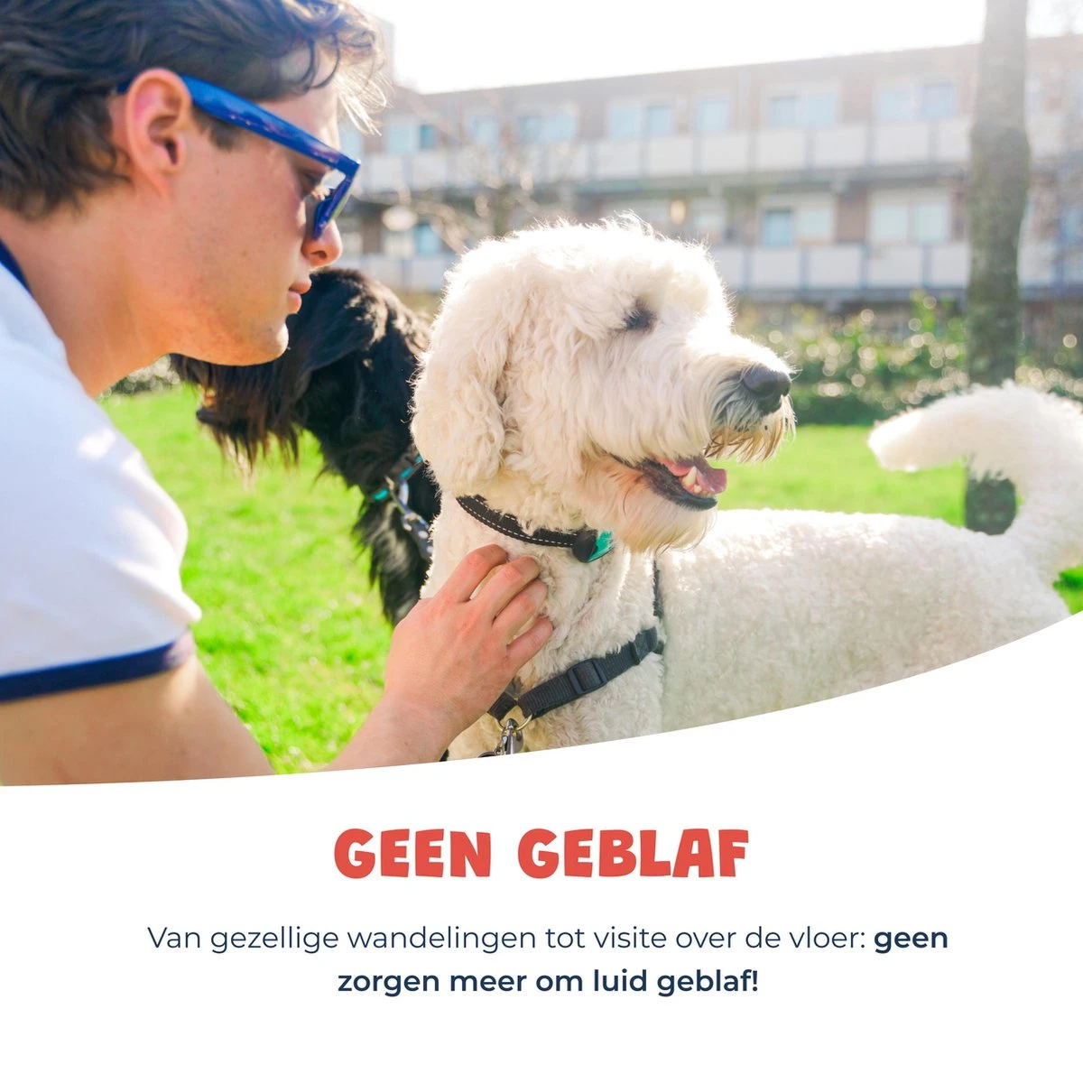 Anti Blafband - Blafband Voor Honden - Oplaadbaar - Anti Blaf Apparaat - Blafband - Diervriendelijk 7 Anti Blafband - Blafband Voor Honden - Oplaadbaar - Anti Blaf Apparaat - Blafband - Diervriendelijk - Afbeelding 7