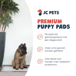 JC Pets Premium Puppy Training Pads - Hondentoilet - Zindelijkheidstraining Hond - 100 Stuks - 60 X 45 Cm 13 JC Pets Premium Puppy Training Pads - Hondentoilet - Zindelijkheidstraining Hond - 100 Stuks - 60 X 45 Cm -Dog Supplies 1200x1200 465
