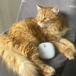 Pettadore Air Insight - Kattenbak Geurverdrijver & Teller - Actieve Zuurstof En Ionen - Oplaadbaar - Met App 26 Pettadore Air Insight - Kattenbak Geurverdrijver & Teller - Actieve Zuurstof En Ionen - Oplaadbaar - Met App -Dog Supplies 1200x1200 488