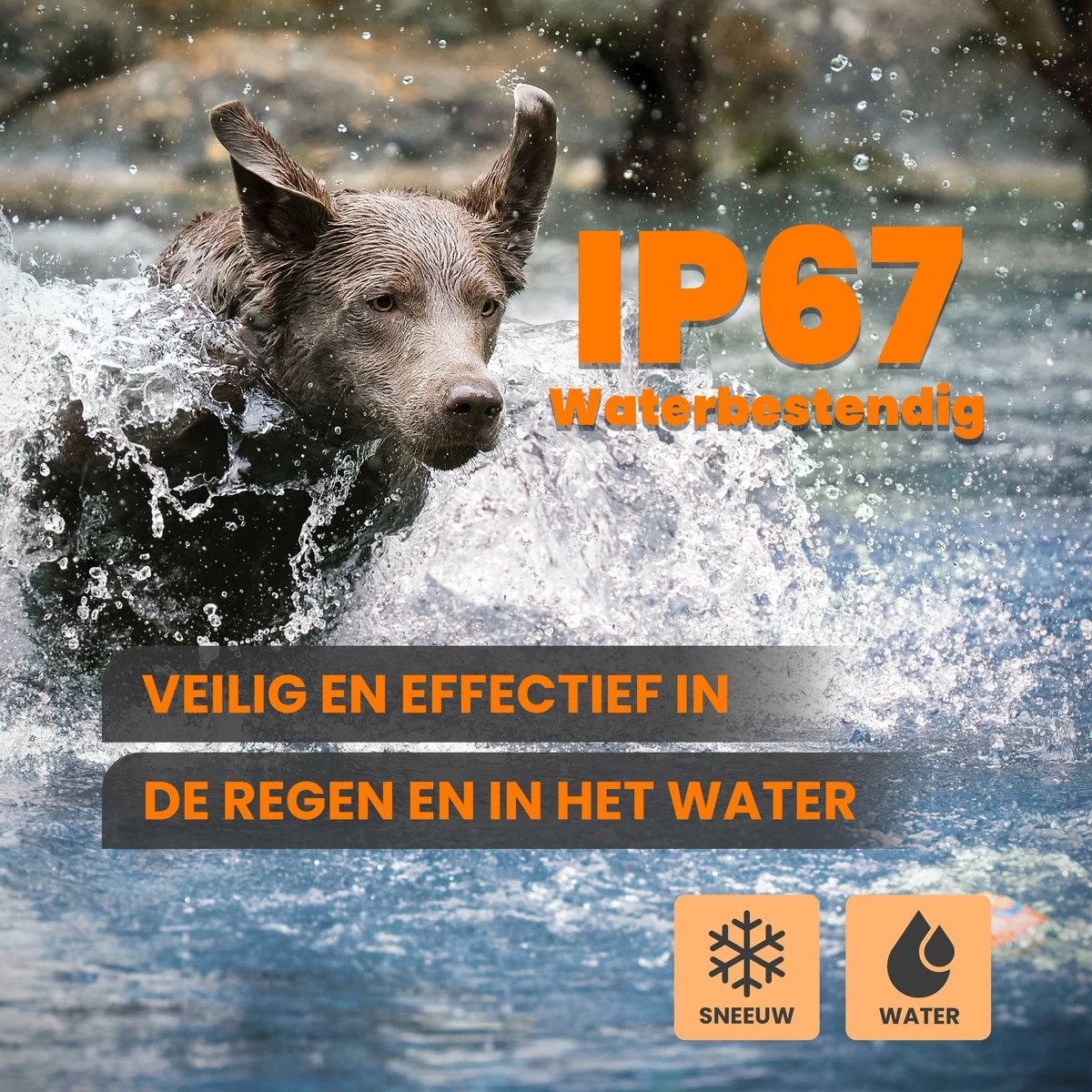 DOSCA® Anti Blafband - Anti Blaf Apparaat - Blafband Voor Honden - Zonder Schok En Diervriendelijk 6 DOSCA® Anti Blafband - Anti Blaf Apparaat - Blafband Voor Honden - Zonder Schok En Diervriendelijk - Afbeelding 6