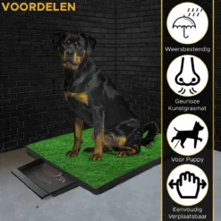 Toivo HondenToilet Kunstgras - Zwart - Geurafstotend - 62 X 49 X 6.6 CM - Honden Wc Outdoor - Zindelijkheidstraining Hond - Puppy Pads - Dierentoilet -Dog Supplies 1200x1200 523