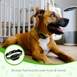 Petz - Anti Blafband - Anti Blafband Voor Kleine En Grote Honden - 5-55 KG - Vibratie En Audio - Diervriendelijk - GEEN Schokken - Opvoedingshalsband Zonder Schok En Diervriendelijk - Waterdicht - Oplaadbaar -Dog Supplies 1200x1200 531
