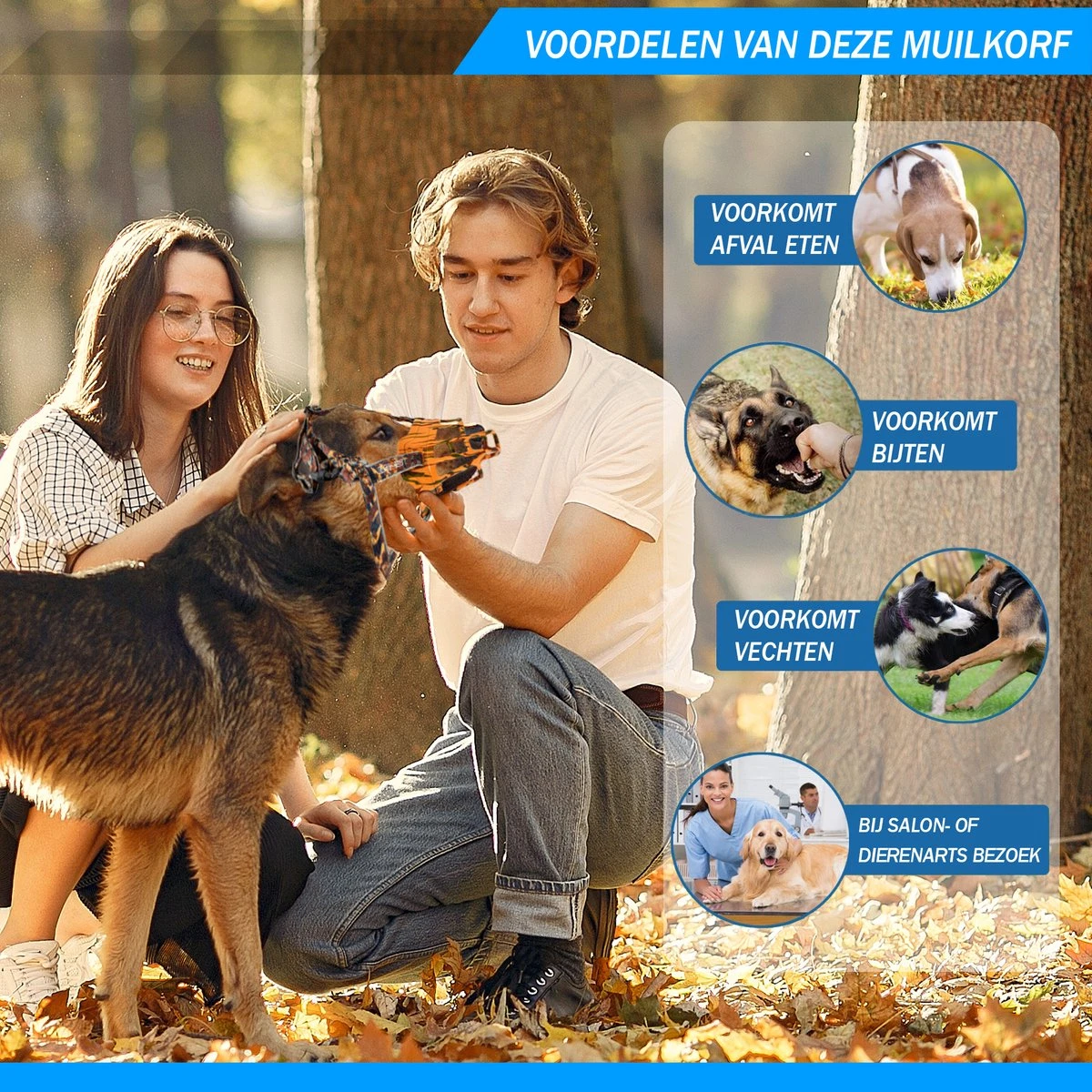 Sharon B Muilkorf Hond - Zwart - XL - Comfortabel - Snuitomtrek 34 Tot 37 Cm - Voor Grote Honden 6 Sharon B Muilkorf Hond - Zwart - XL - Comfortabel - Snuitomtrek 34 Tot 37 Cm - Voor Grote Honden - Afbeelding 6