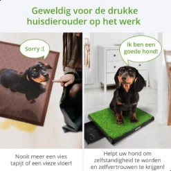 AWEMOZ Hondentoilet Kunstgras - Met 2 Matten En Opvangbak - 64x52x7,5cm - Puppy Pads - Zindelijkheidstraining Hond - Training Pads - Indoor / Outdoor Honden Toilet 13 AWEMOZ Hondentoilet Kunstgras - Met 2 Matten En Opvangbak - 64x52x7,5cm - Puppy Pads - Zindelijkheidstraining Hond - Training Pads - Indoor / Outdoor Honden Toilet -Dog Supplies 1200x1200 594