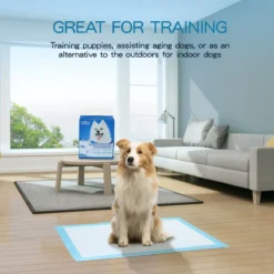 Nobleza 48WQF - Puppy Training Pads - 60 X 90 Cm - Zindelijkheidstraining -50 Stuks - L -Dog Supplies 1200x1200 607