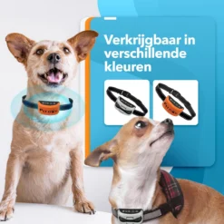 PET DOG® | Anti Blafband Voor Honden | 3 T/m 60 Kg | Oplaadbaar | Anti Blaf Band | Trainingsband | Vibratie En Geluid | Diervriendelijk | Shock Aan/uit Instelbaar -Dog Supplies 1200x1200 625
