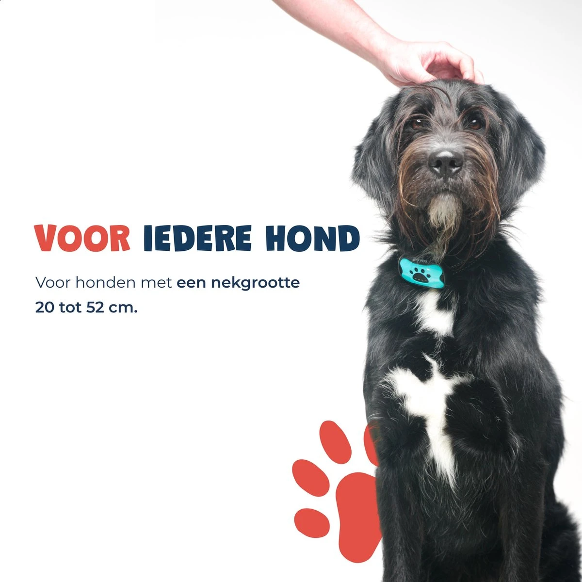 Anti Blafband - Blafband Voor Honden - Anti Blaf Apparaat - Blafband - Diervriendelijk & Zonder Schok 6 Anti Blafband - Blafband Voor Honden - Anti Blaf Apparaat - Blafband - Diervriendelijk & Zonder Schok - Afbeelding 6
