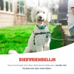 Anti Blafband - Blafband Voor Honden - Anti Blaf Apparaat - Blafband - Diervriendelijk & Zonder Schok 17 Anti Blafband - Blafband Voor Honden - Anti Blaf Apparaat - Blafband - Diervriendelijk & Zonder Schok -Dog Supplies 1200x1200 633