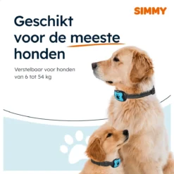 Simmy Anti Blafband - Diervriendelijke Opvoedingshalsband - Zwart En Blauw - Diervriendelijk - Zonder Schok - Anti Blaf Band Voor Grote En Kleine Honden -Dog Supplies 1200x1200 646