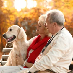 Merkloos LotaHome - Anti Blaf Apparaat - Hondentrainer Voor Binnen En Buiten - Bereik Tot 15 Meter - Diervriendelijk - Zonder Schok - Ultrasone - Voor Alle Honden - Inclusief Clicker -Dog Supplies 1200x1200 668