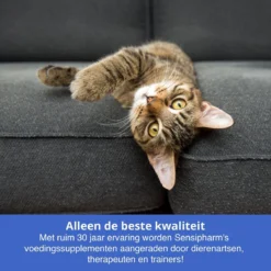 Sensipharm Bitterspray Anti Bijt Spray - Hond, Kat, Konijn & Vogel - Bitter Anti Kauw Knabbel Knaag - 100 Ml -Dog Supplies 1200x1200 673