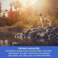 Sensipharm Bitterspray Anti Bijt Spray - Hond, Kat, Konijn & Vogel - Bitter Anti Kauw Knabbel Knaag - 100 Ml -Dog Supplies 1200x1200 674