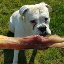 Topdiervoeding Runderkophuid Hondensnacks - Vers Gedroogd - 30cm - 1000 Gram -Dog Supplies 1200x1200 677